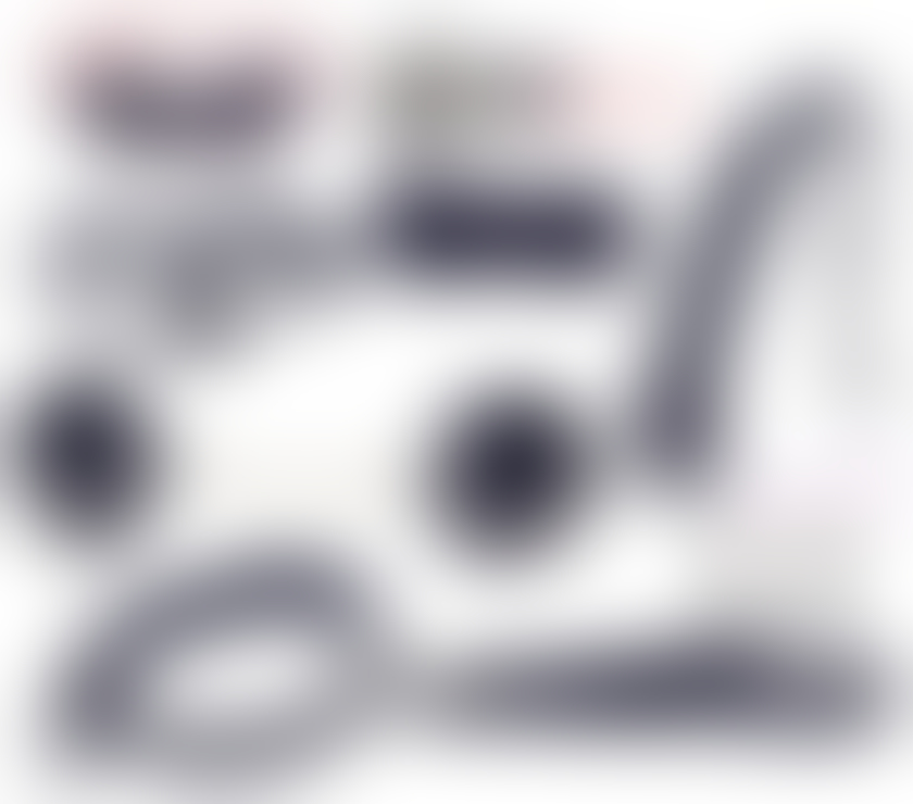 Escorts Merseyside Liverpool -